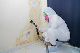 Best Crawl Space Mold Remediation  in Portales, NM